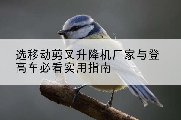 东城区电动升降机厂家-选移动剪叉升降机厂家与登高车必看实用指南