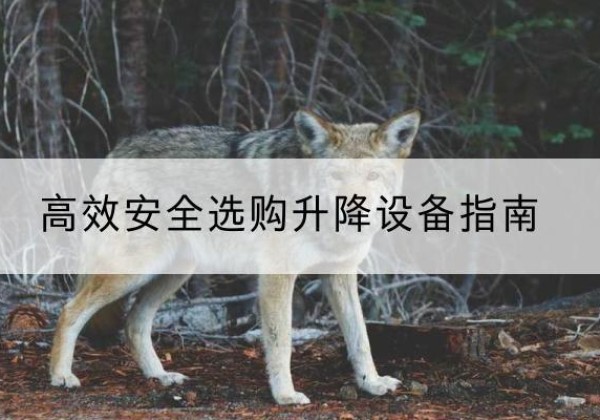 东城区升降货梯厂家推荐-*安全选购升降设备指南
